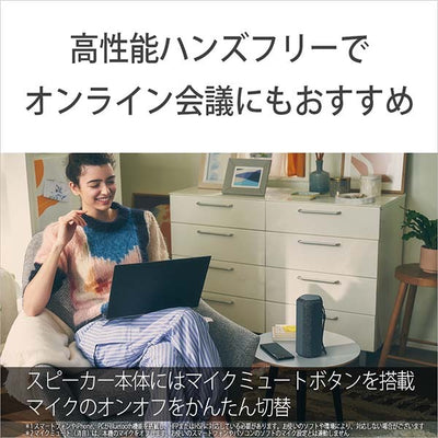 SRS-XE200