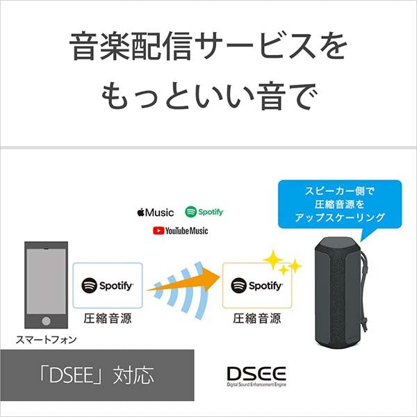 SRS-XE200