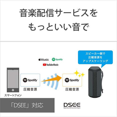 SRS-XE200