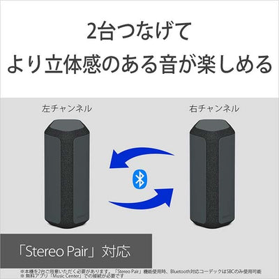 SRS-XE300
