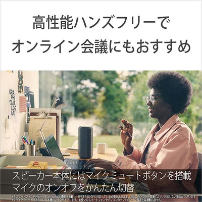 SRS-XE300