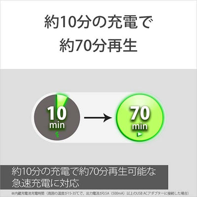 SRS-XE300