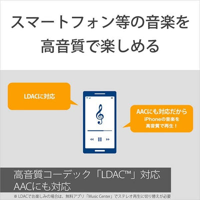 SRS-XE300