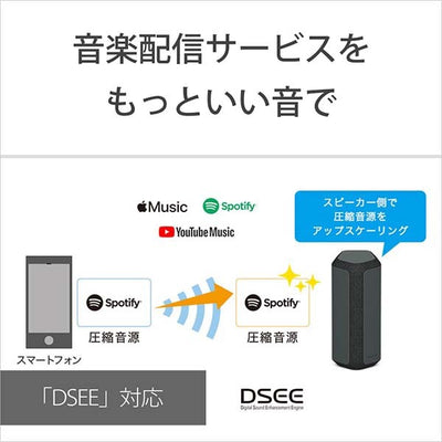 SRS-XE300