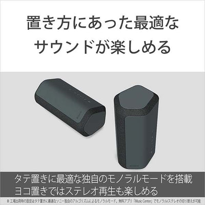 SRS-XE300