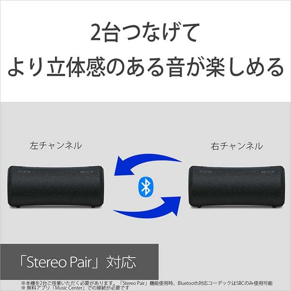 SRS-XG300
