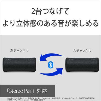SRS-XG300