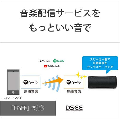 SRS-XG300