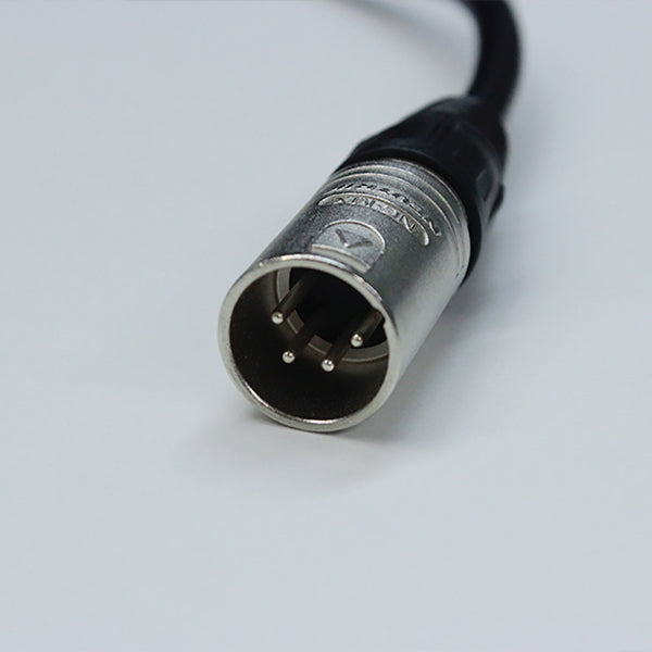 GS1000x
