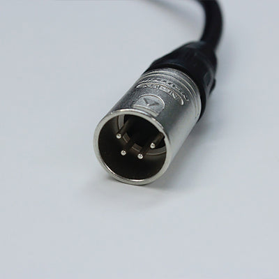 GS1000x
