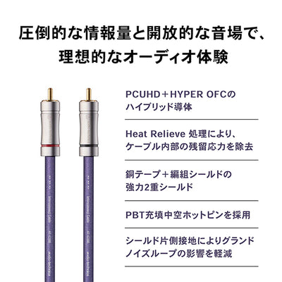 AT-IC500R