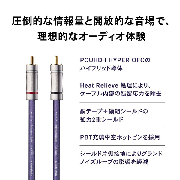 audio-technica AT-IC500R – e☆イヤホン
