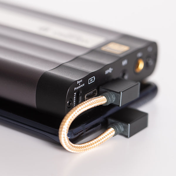iFi-Audio 90° Type-C OTG Cable(L型USB-C) – e☆イヤホン