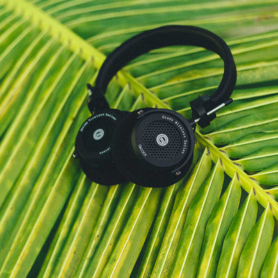 GW100x