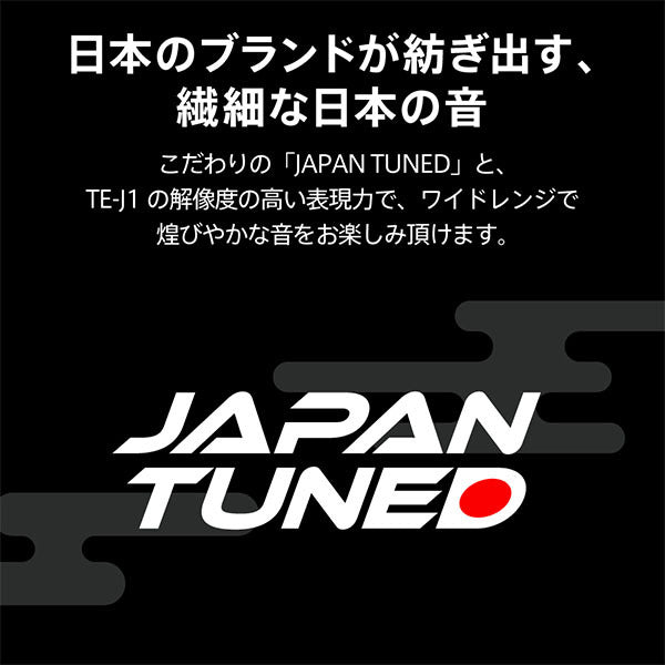 TE-Z1PNK ピエール中野コラボモデル