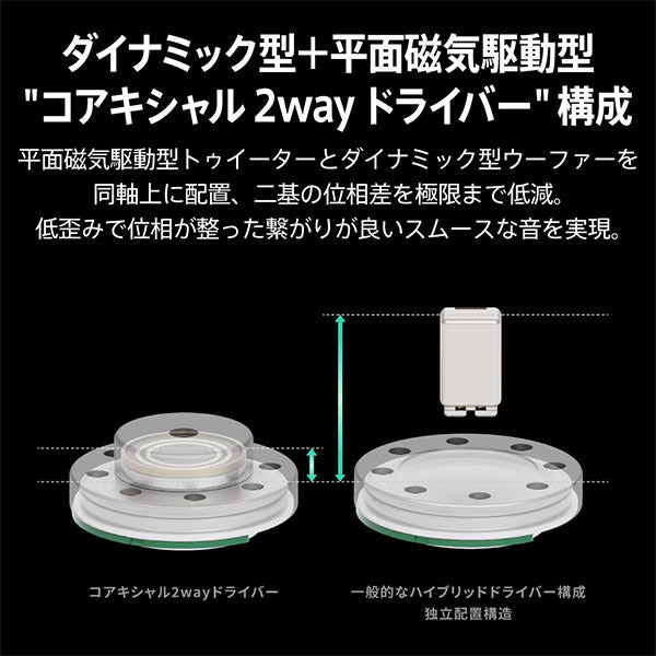 AVIOT TE-Z1PNK ピエール中野コラボモデル – e☆イヤホン