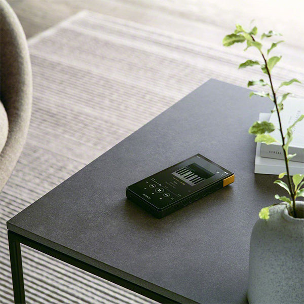 SONY NW-ZX707 C – e☆イヤホン