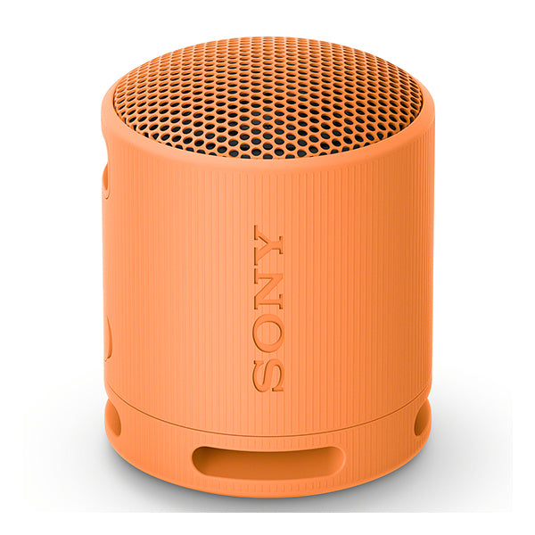 SRS-XB100