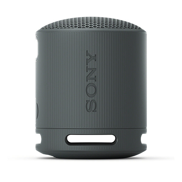SRS-XB100