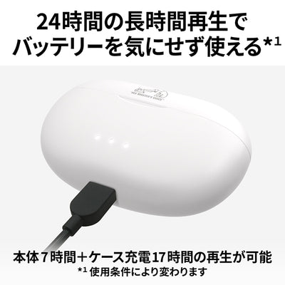 HA-A20T