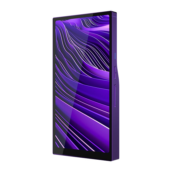R6 Pro II