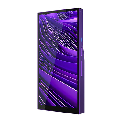 R6 Pro II