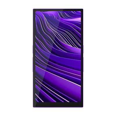 R6 Pro II