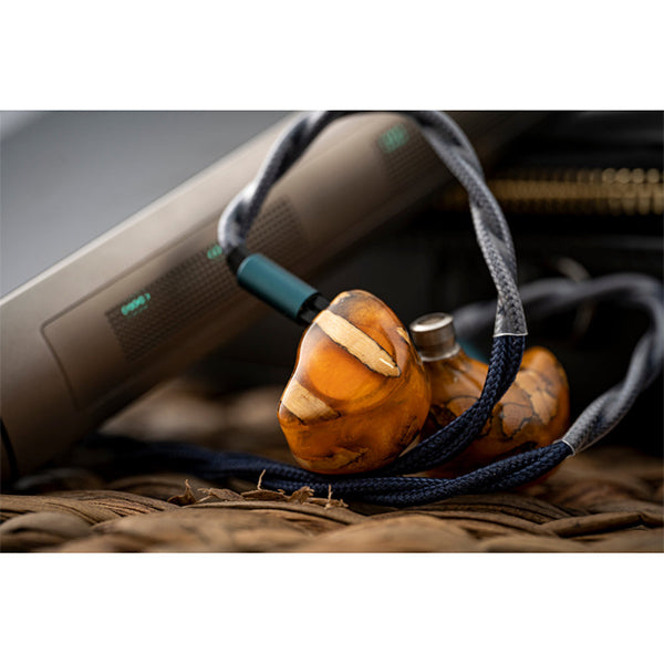 Cayin N30LE DAP x Amber Pearl【SPK-A004-AP】 – e☆イヤホン