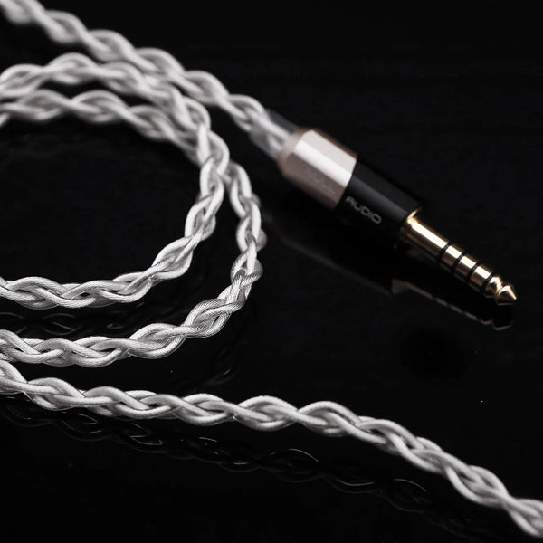 AAW Canary Pro(Universal Fit) – e☆イヤホン