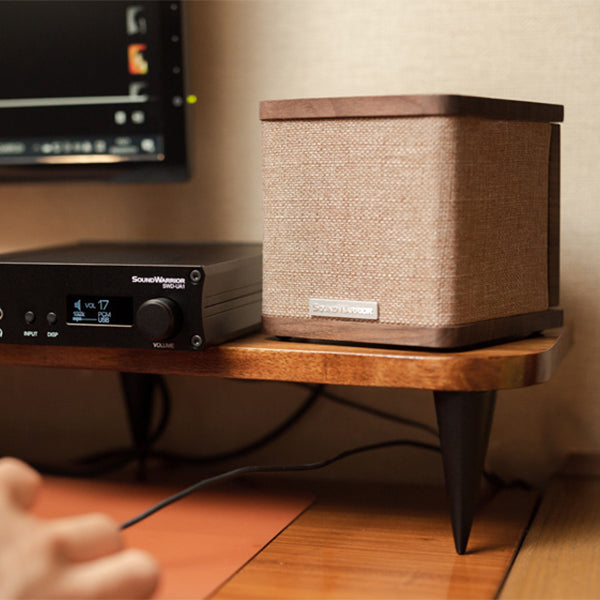 SOUND WARRIOR SW-SP2 (キューブ型スピーカー) – e☆イヤホン