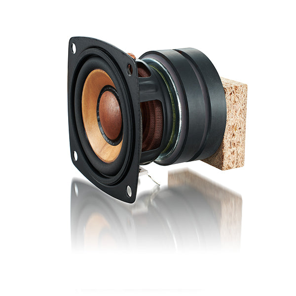 EX-DM10