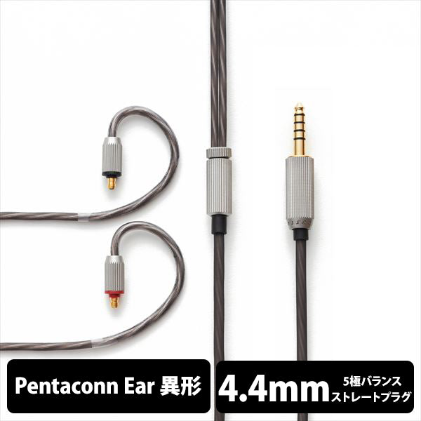 Acoustune ARX210 / ARX220 – e☆イヤホン