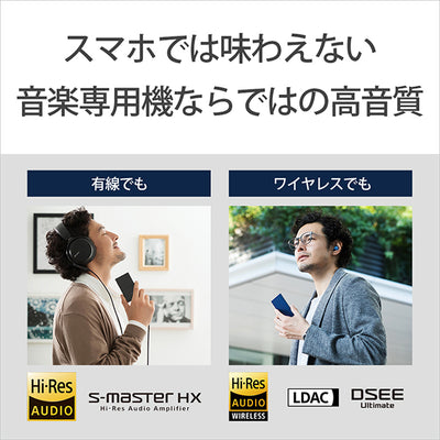 NW-A306/D100 Disney創立100周年記念モデル