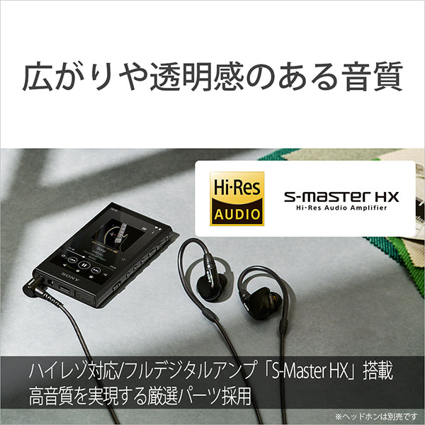 NW-A306/D100 Disney創立100周年記念モデル