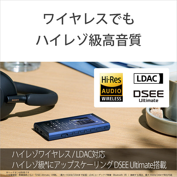 NW-A306/D100 Disney創立100周年記念モデル