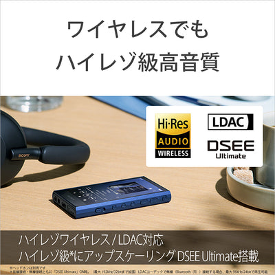 NW-A306/D100 Disney創立100周年記念モデル