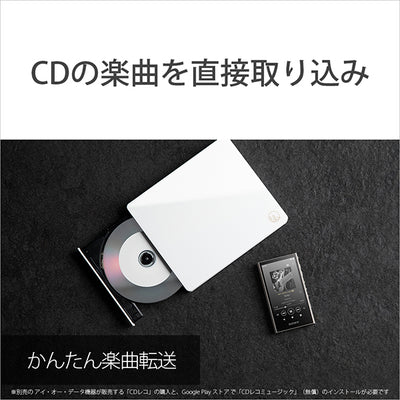 NW-A306/D100 Disney創立100周年記念モデル