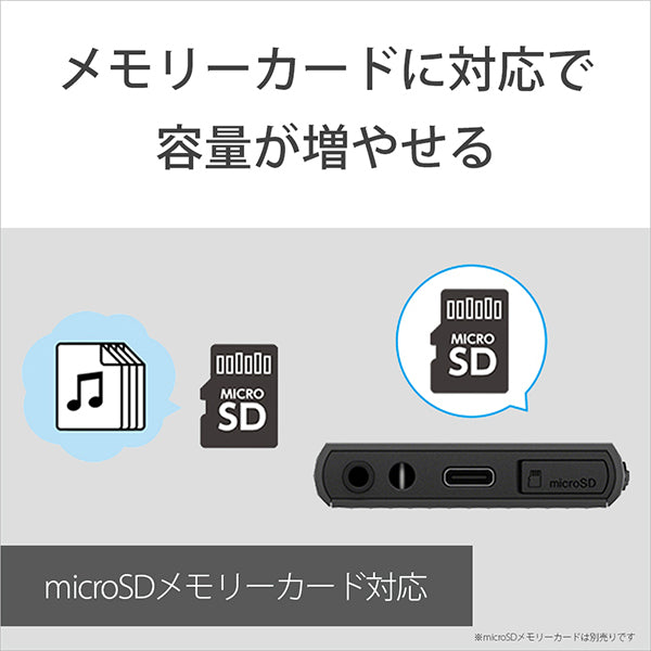 SONY NW-A306/D100 Disney創立100周年記念モデル – e☆イヤホン