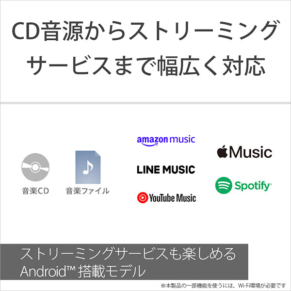 NW-A306/D100 Disney創立100周年記念モデル