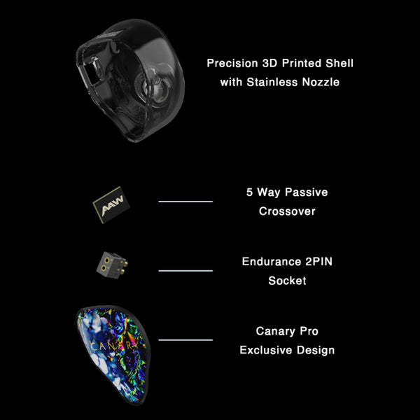AAW Canary Pro (カスタムIEM) – e☆イヤホン