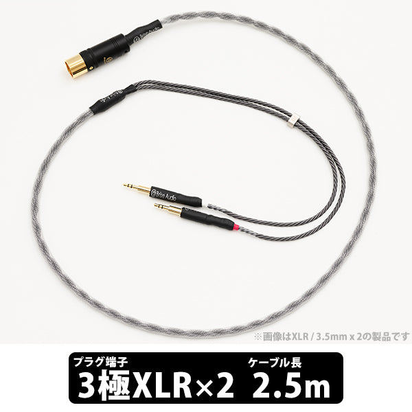 Brise Audio SHIROGANE-HP Ultimate – e☆イヤホン