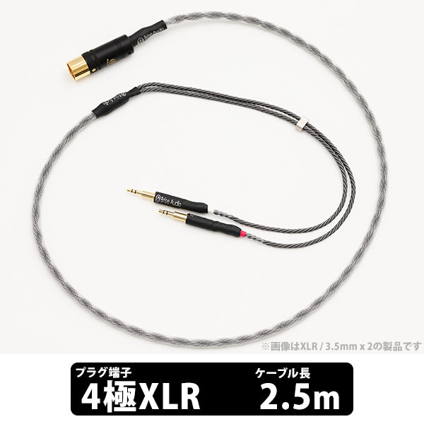 Brise Audio SHIROGANE-HP Ultimate – e☆イヤホン