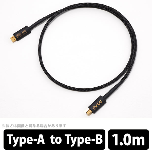Brise Audio YATONO USB-V2 A to B – e☆イヤホン