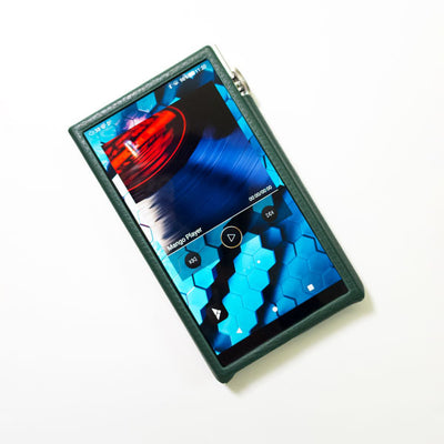 DX260 専用レザーケース