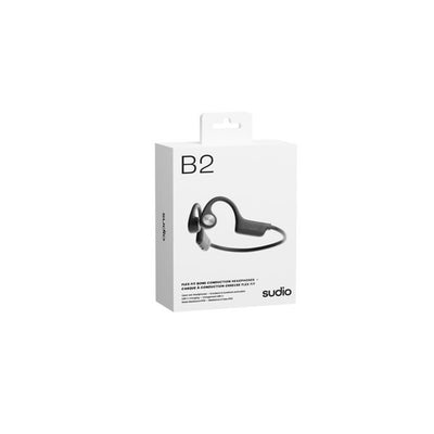 B2