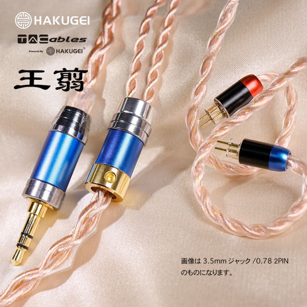 王翦