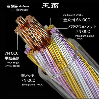 王翦