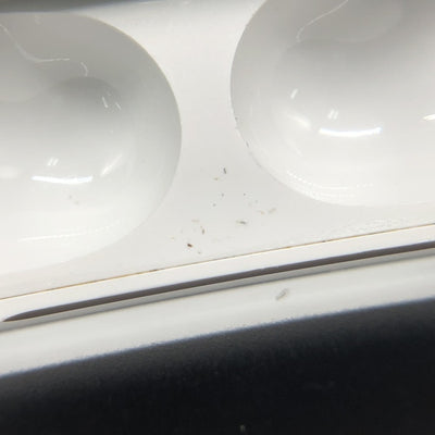 【中古】AirPods Pro 充電ケース(ジャンク・返品不可)【秋葉原】