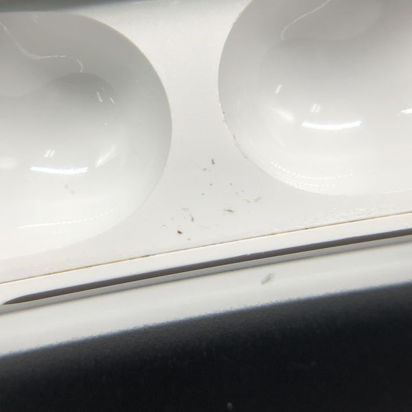 Apple 【中古】AirPods Pro 充電ケース(ジャンク・返品不可)【秋葉原