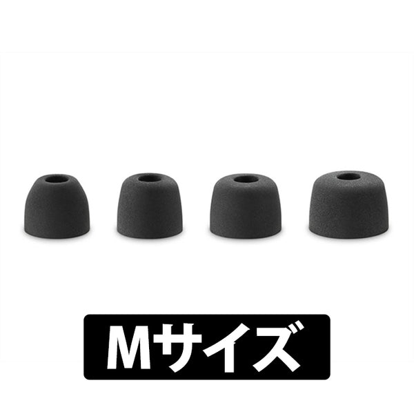 WF-1000XM5 付属イヤーピース